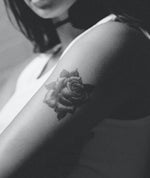 Charger l'image dans la galerie, CASA
