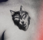 Charger l'image dans la galerie, CASA
