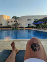 Charger l'image dans la galerie, CASA
